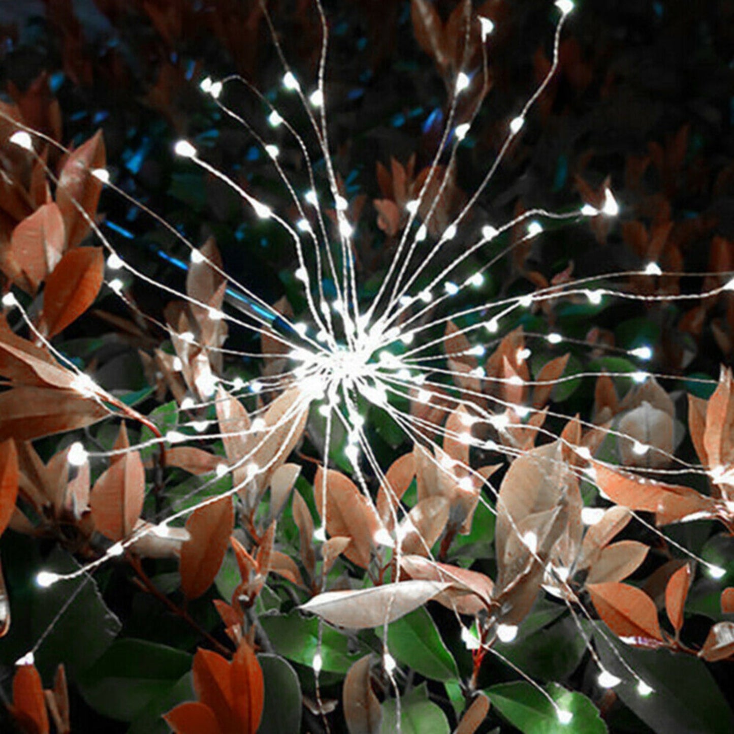 Pack Outdoor Solar LED Garden Lights - Waterproof & Decorative